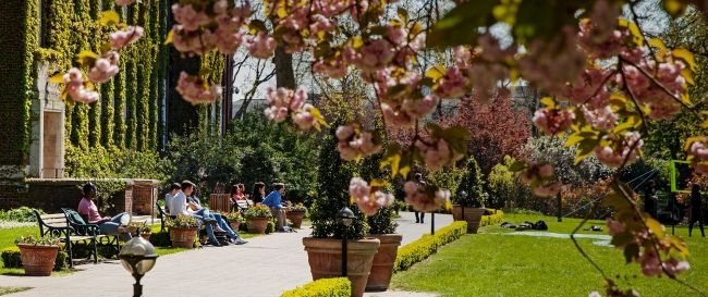 Campus blossom wide Blossom and students on campus